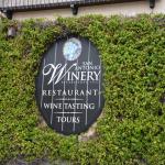 SanAntonio_0094 (June 11, 2016)